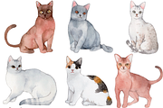 50 Hand-drawn Watercolor Cats, an Animal Illustration by ArtbyHien (Thumbnail 3 of 7)