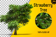 CUT OUT TREES - 60 PCS BUNDLE, a Packaging Mockup by 3DSTORE (Thumbnail 25 of 63)