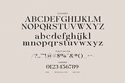 Signer Elegant Serif Font, a Serif Font by Graphicxell (Thumbnail 8 of 8)