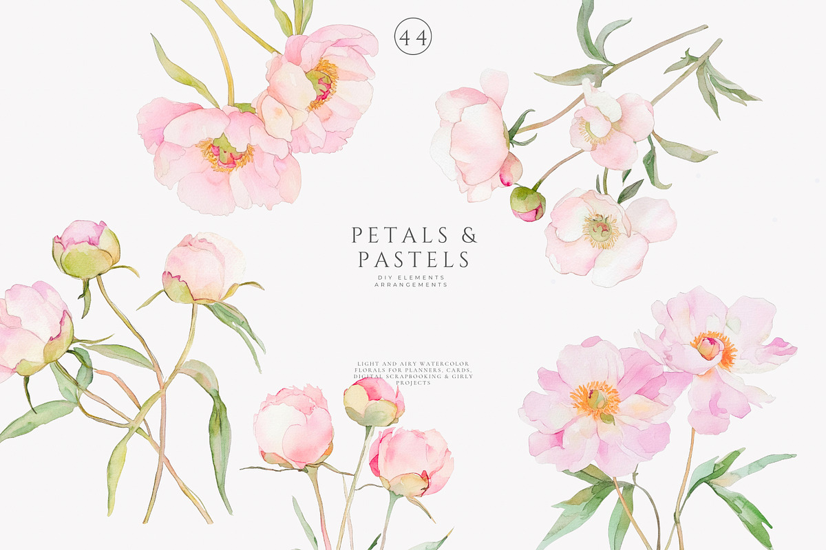 watercolor coquette pink peony set, a Decorative Illustration by Patishop Art (Photo 3 of 10)