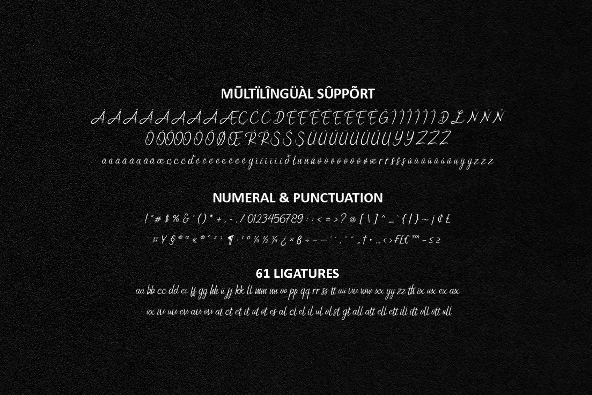 New Florence - Modern Classic Font, a Script Font by HIRO.std (Photo 14 of 15)