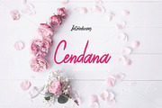Cendana Brush, a Script Font by da_only_aan (Thumbnail 1 of 6)