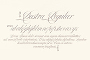 Bustra Script Pro, a Script Font by Alcode (Thumbnail 8 of 18)