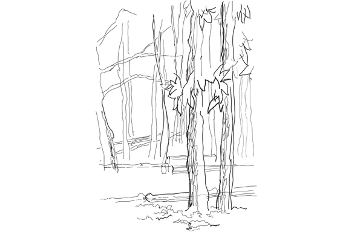 Trees set preview 2