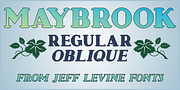 Maybrook JNL, a Font by Jeff Levine Fonts (Thumbnail 1 of 5)