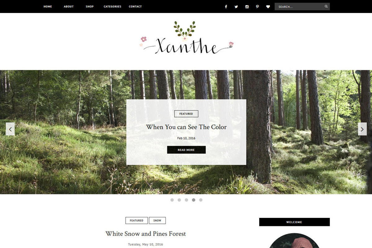 Blogger Template Responsive - XANTHE, a Websites & App Template by Vefio Themes (Photo 1 of 4)