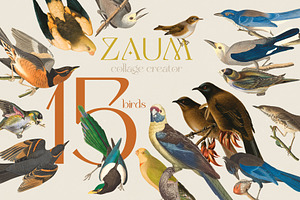 ZAUM. Collage Creator