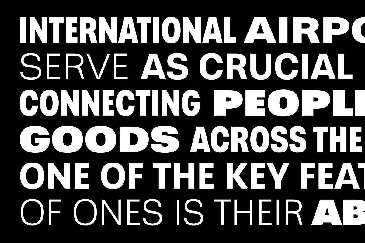 Greater Neue Super Family, a Sans Serif Font by NicolassFonts (Photo 3 of 6)