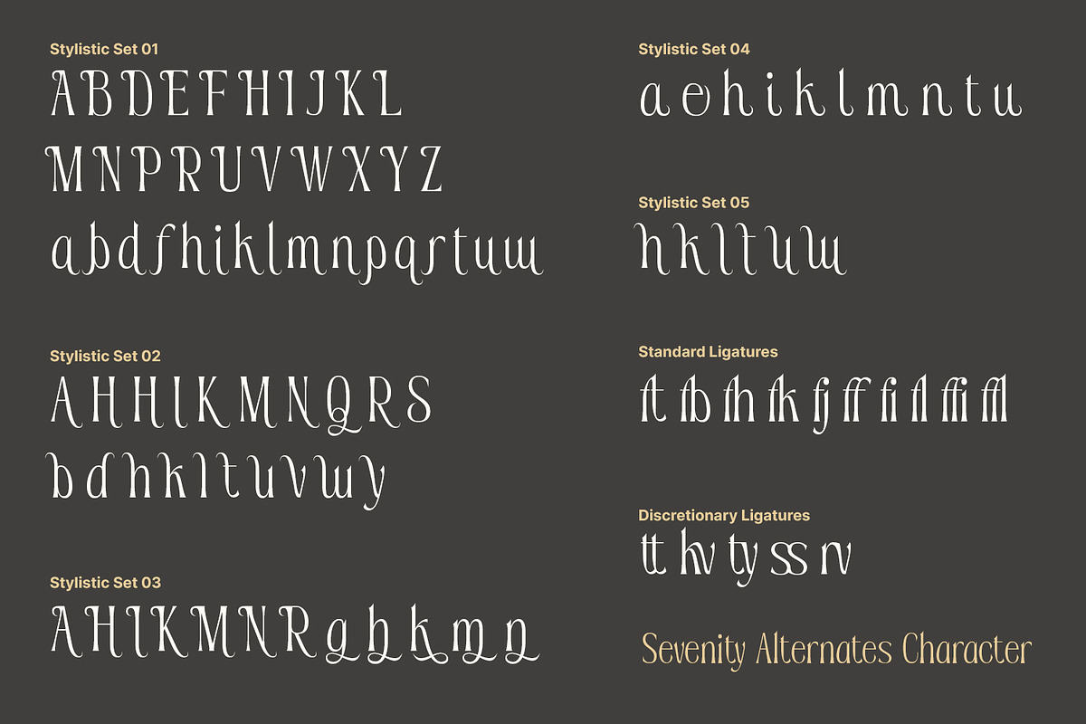Sevenity, a Serif Font by din-studio.com (Photo 10 of 11)