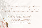Sharland Luxury Script Font, a Script Font by Heinzel Std (Thumbnail 15 of 16)
