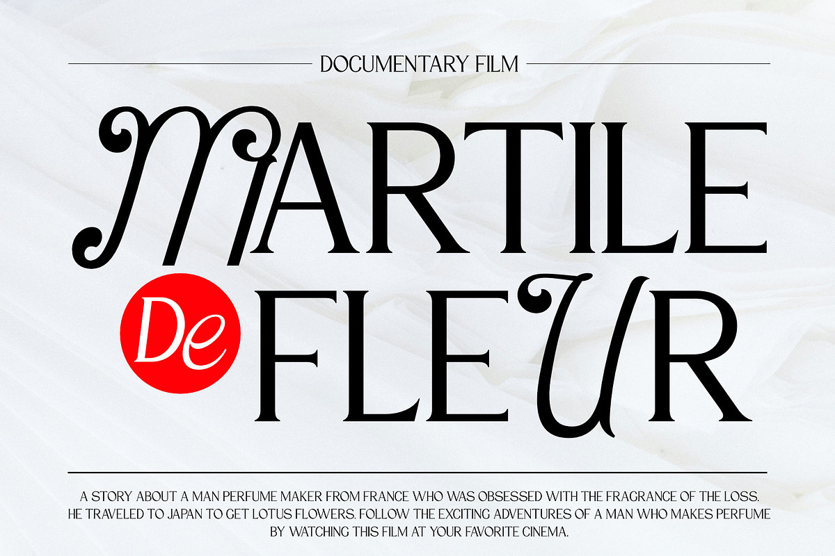 VT Salemore Longest Font Combination, a Serif Font by ViactionType (Photo 5 of 13)