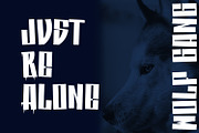Rezhett Decorative Display Font, a Handwritten Font by Maulana Creative (Thumbnail 5 of 7)