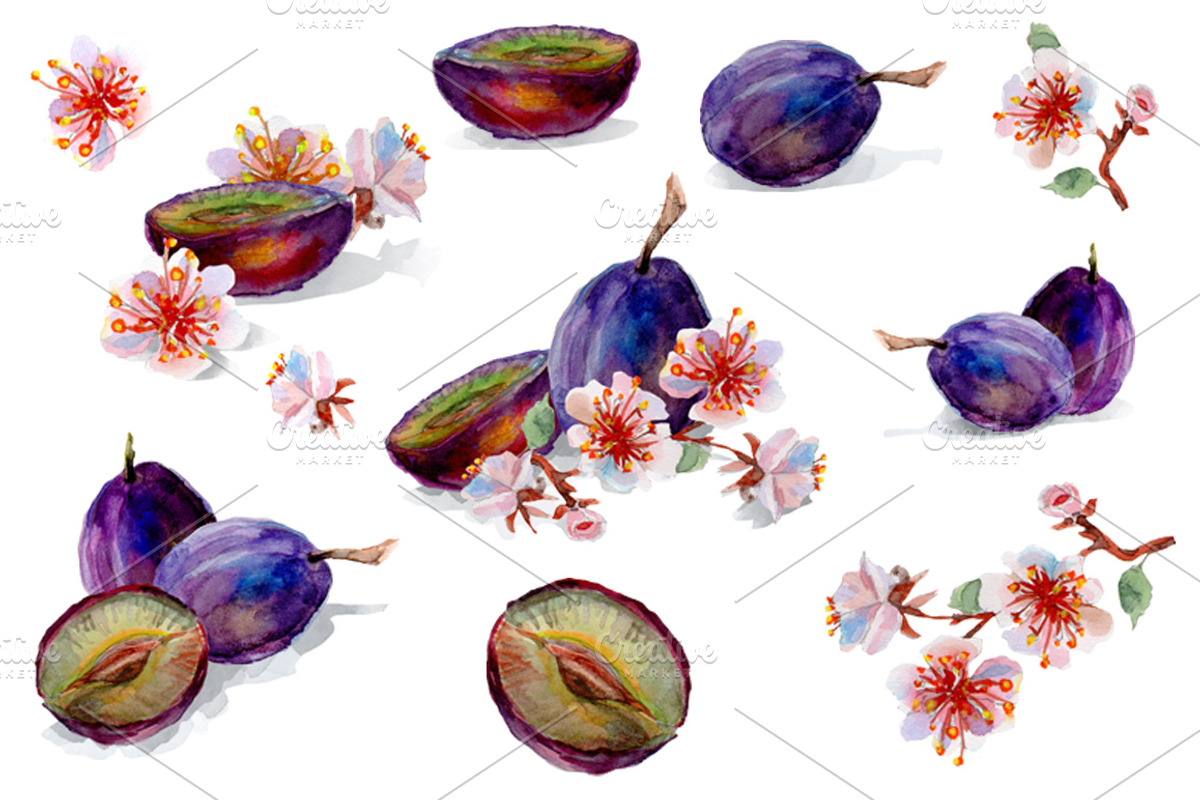 Set of watercolor fruits and flowers, a Food Illustration by DariKa (Photo 2 of 4)