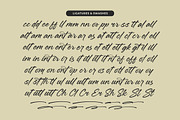 Jonthay Stattera Modern Script Font, a Script Font by Letterena Studios Script (Thumbnail 19 of 20)