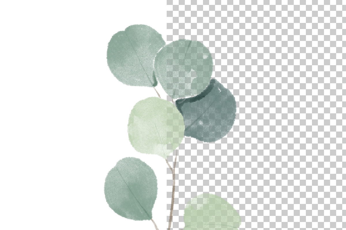 Watercolor Eucalyptus clipart, an Illustration by NKTKNS (Photo 6 of 7)