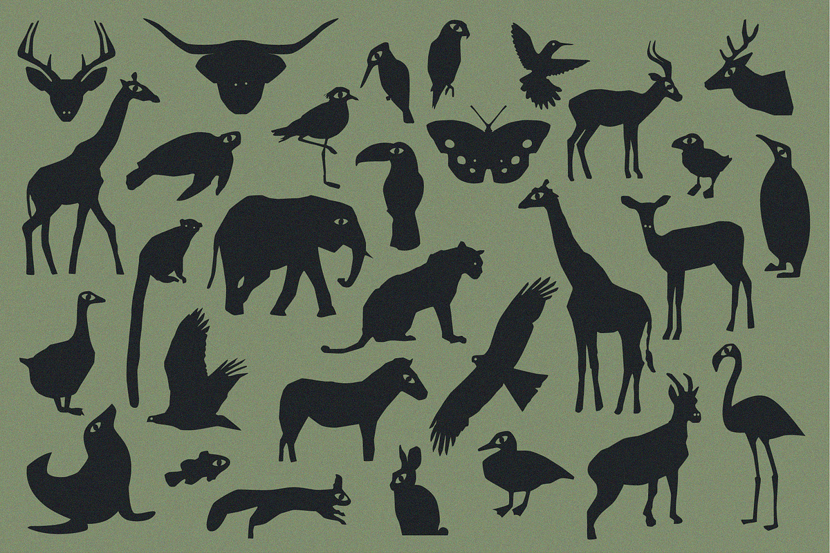 Wild Animals - 30 Vector Shapes, an Object Graphic by line & plane (Photo 2 of 8)
