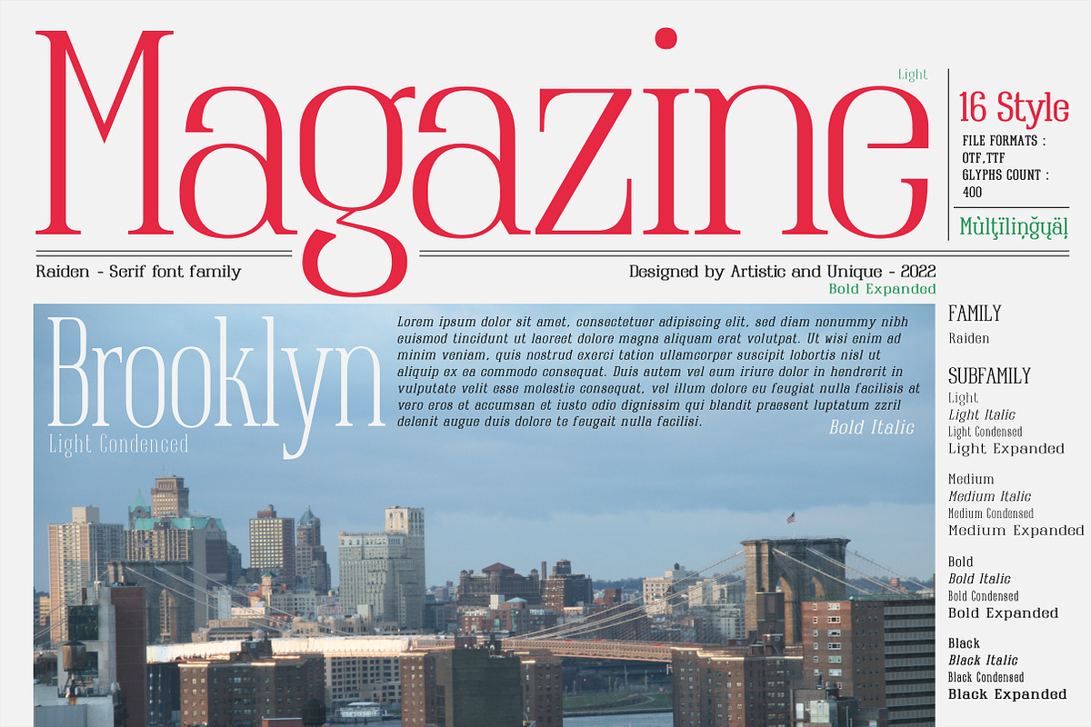 Raiden - Serif font family, a Serif Font by Artistic & Unique (Photo 10 of 13)