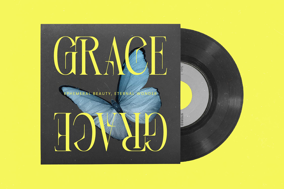 Heroic Brutal Bold Tall Serif, a Serif Font by timelesstype.co (Photo 5 of 20)