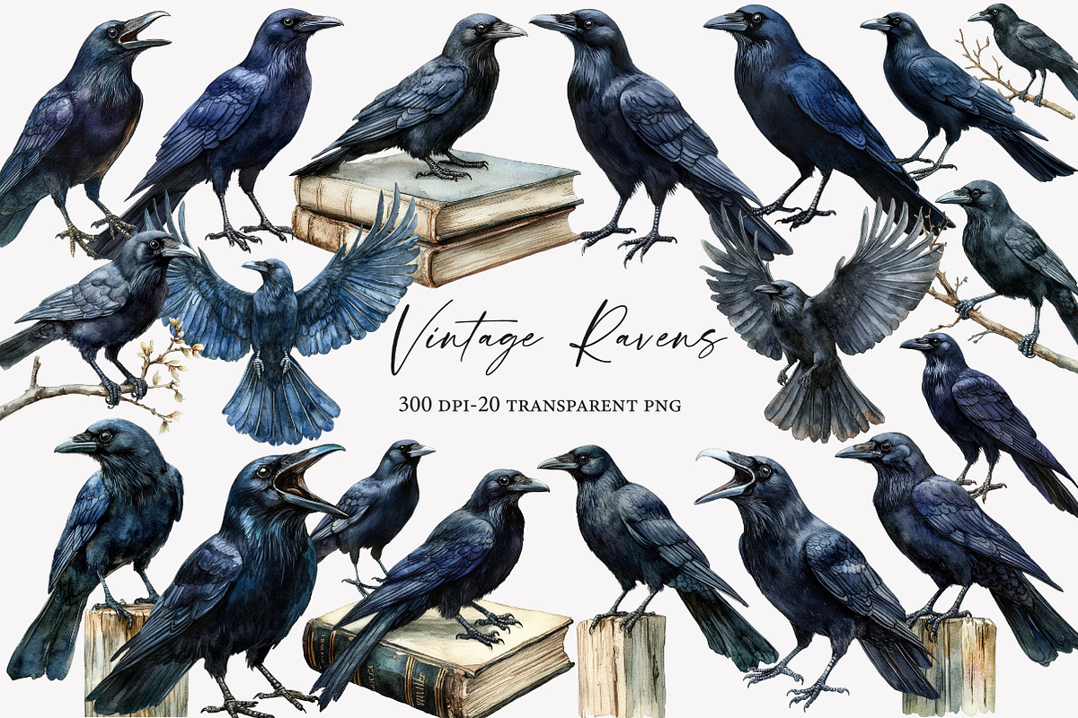 Vintage Ravens and Crows Clipart, an Illustration by Designworld (Photo 1 of 6)