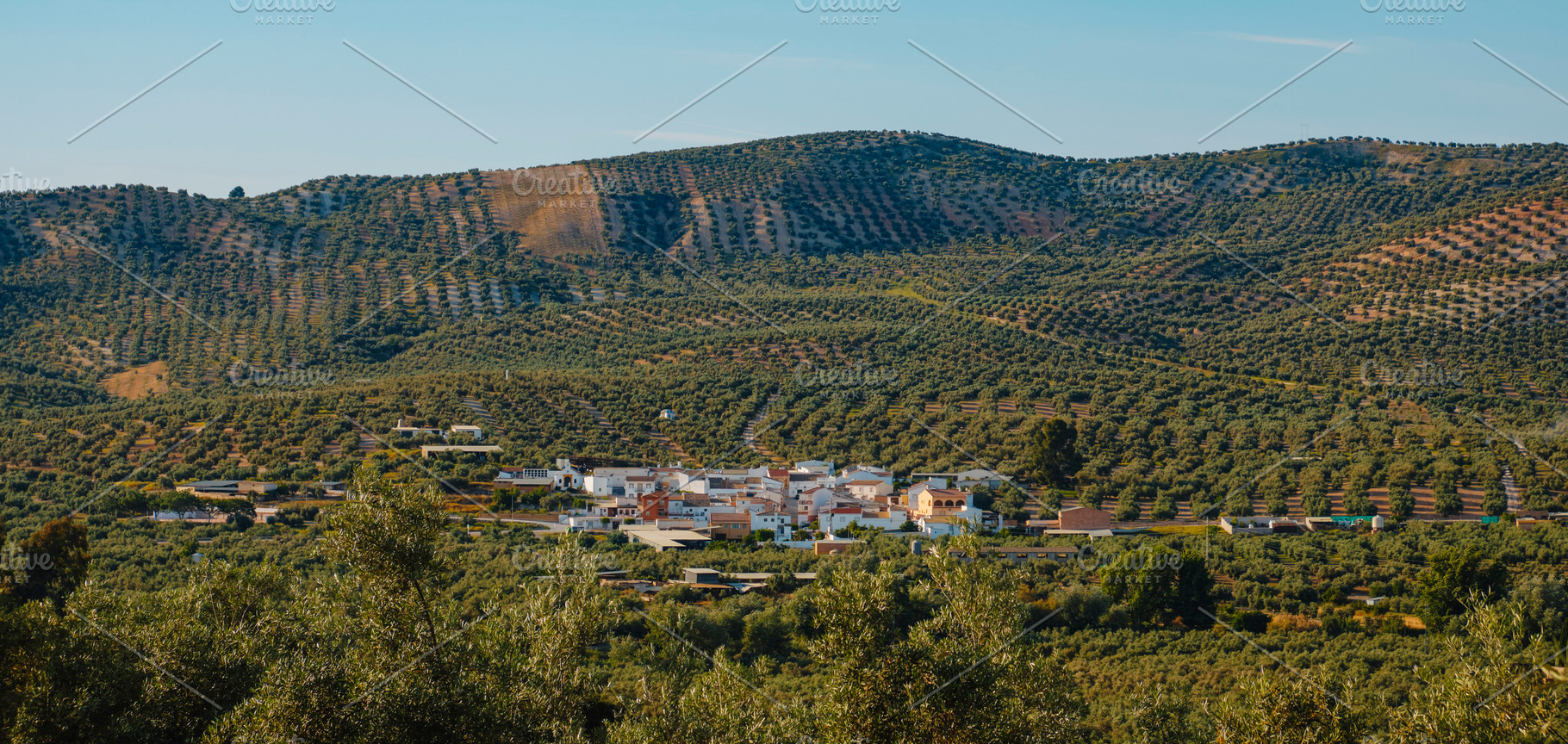 Vadofresno in a valley of olive-covered hills, a Photo by Nito