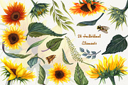 Sunflowers Watercolor Set, a Food Illustration by BarvArt (Thumbnail 4 of 15)