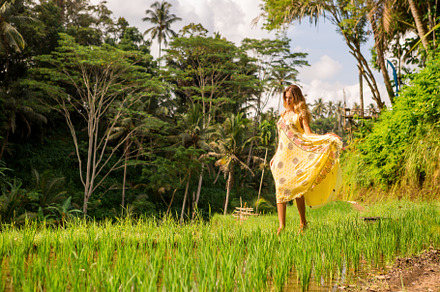 Never stop exploring our planet featuring field, rice, and beautiful