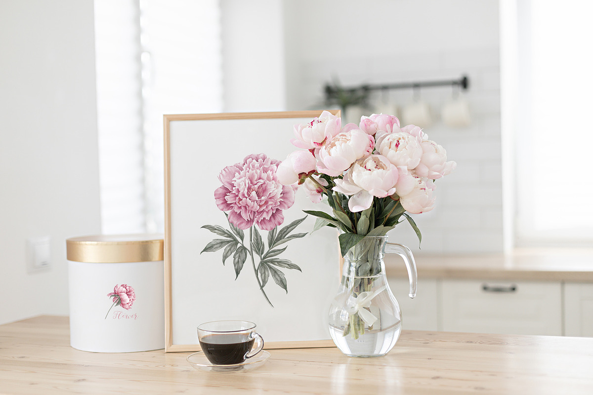 12 Watercolor Peonies PNG, a Decorative Illustration by Kotkoa (Photo 8 of 11)