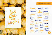 Lemon Summer Hand Drawn Collection, an Object Graphic by Alena Koval (Thumbnail 8 of 18)