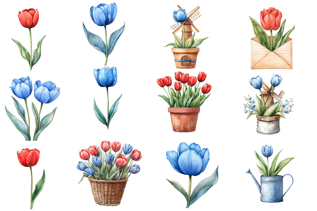 Amsterdam Summer Tulips Clipart, an Illustration by Designworld (Photo 3 of 6)