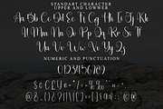 Alphabet Script, a Handwritten Font by FreshTypeINK (Thumbnail 4 of 8)