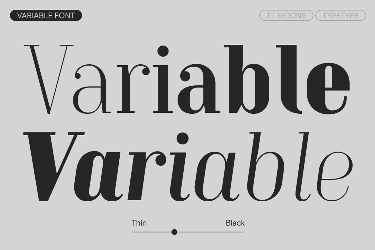 TT Moons, a Serif Font by TypeType (Photo 5 of 12)