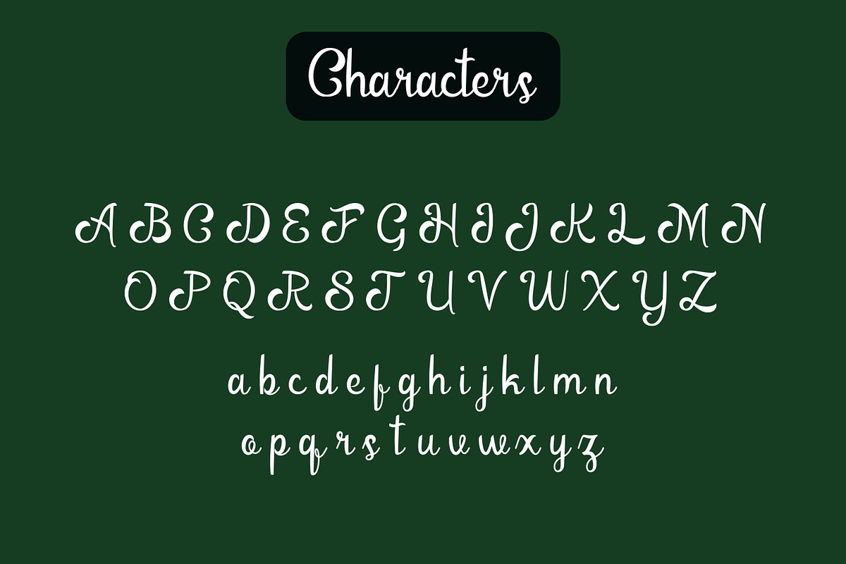 Annaleta - Modern Script Font, a Script Font by Favo Write (Photo 7 of 11)