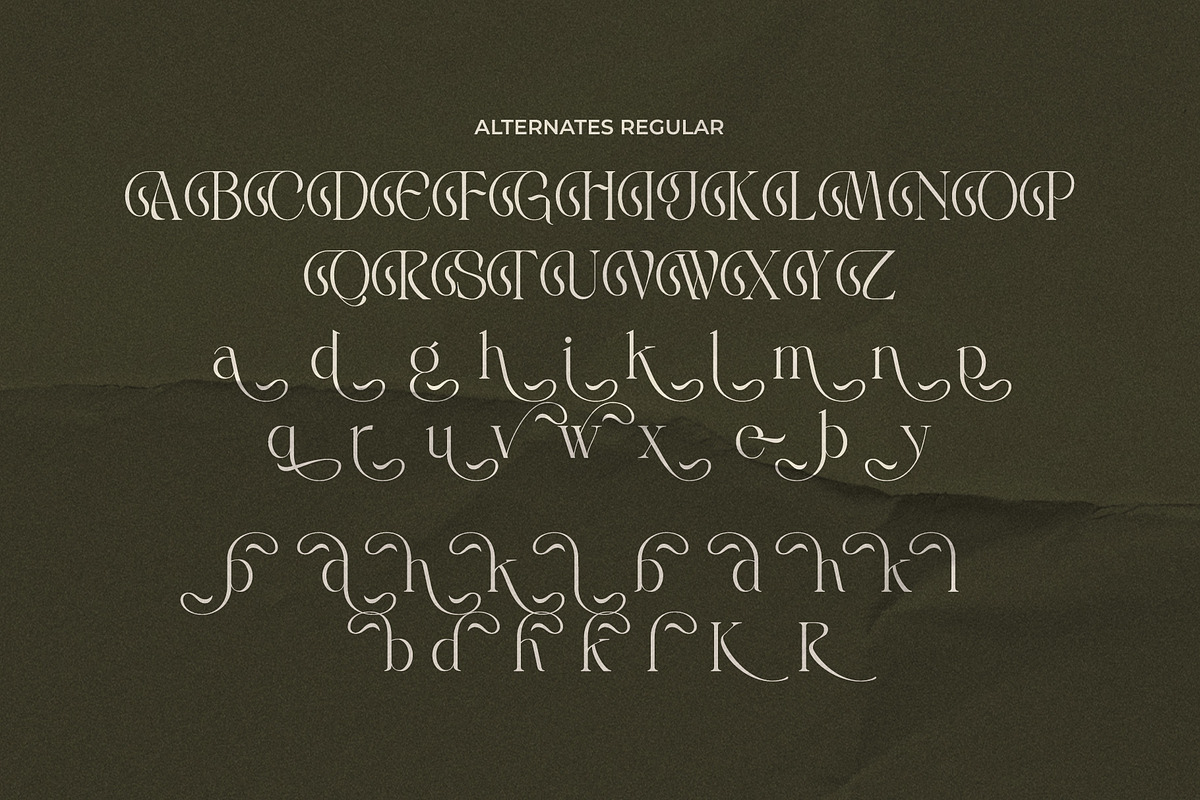 LT Rogile - Modern Serif Typeface, a Serif Font by Luminotype (Photo 18 of 20)
