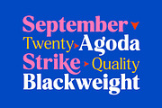 Delvona Serif Family, a Serif Font by Mulkan Nazir (Thumbnail 11 of 15)