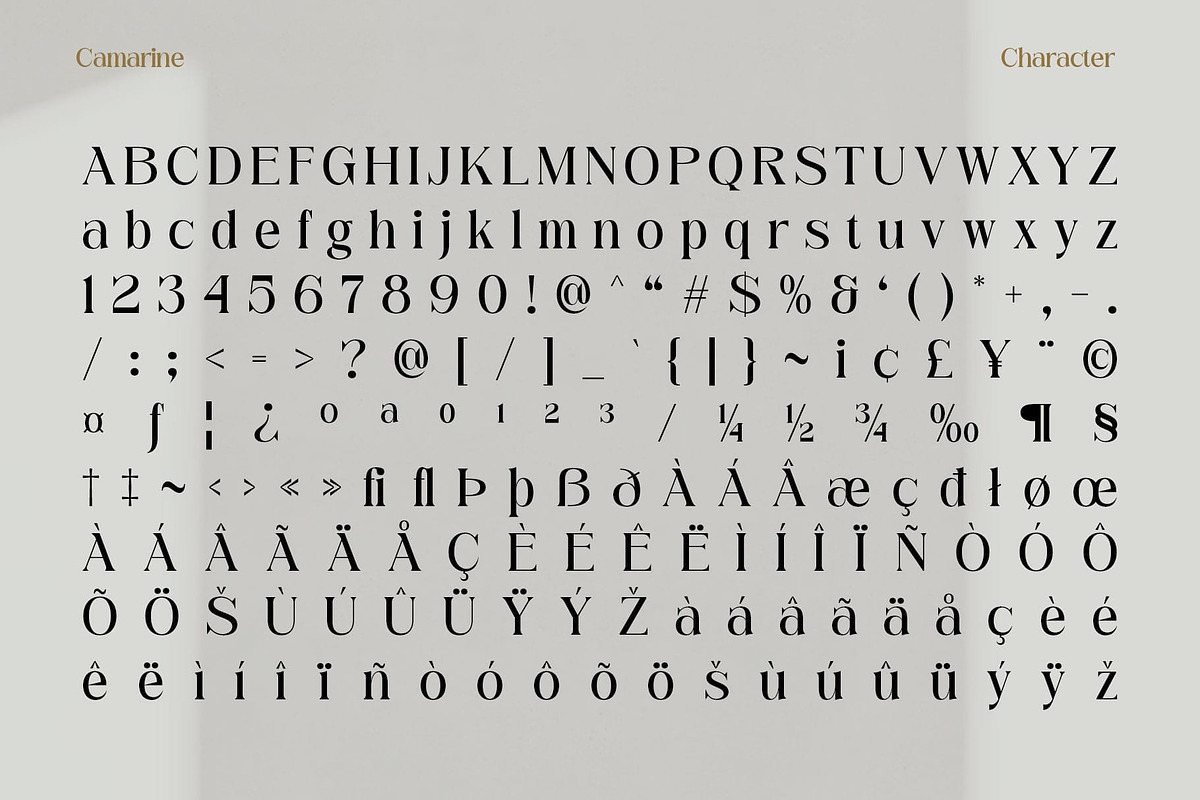 Camarine – Modern Serif, a Serif Font by Craft Supply Co. (Photo 7 of 8)