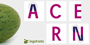 Josef Pro, a Sans Serif Font by ingoFonts (Thumbnail 2 of 10)
