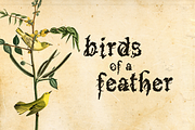 Bokonon, a Script Font by Cool Fonts (Thumbnail 4 of 6)