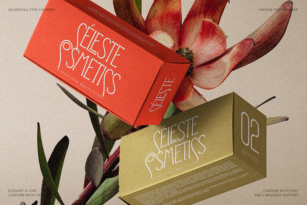 Reina Sofia - Vintage Display Serif preview 6