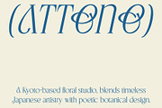 CS Origine – Elegant Serif Font, a Serif Font by Craft Supply Co. (Thumbnail 6 of 8)