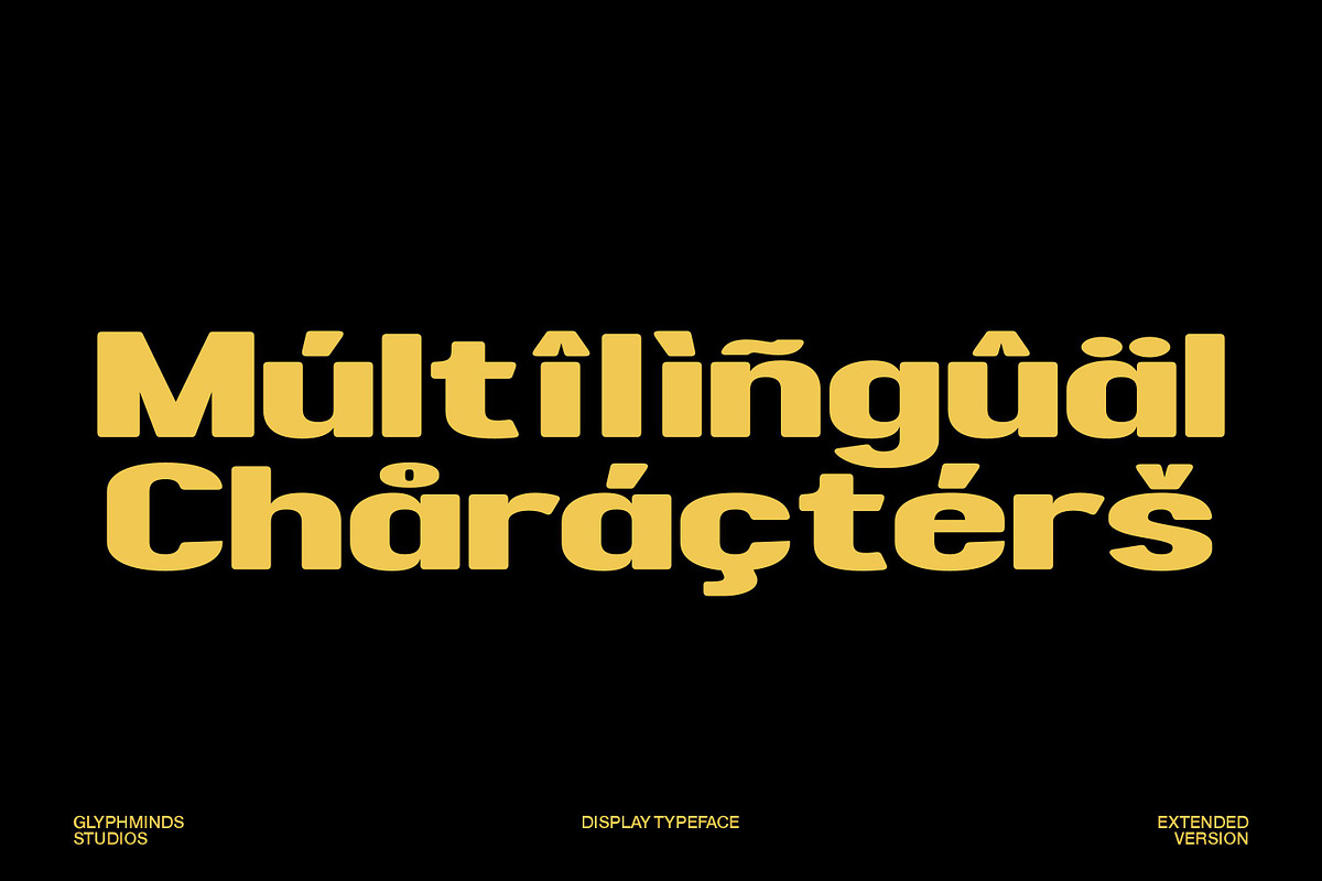 Readfine Extended, a Sans Serif Font by Glyphminds Studios (Photo 9 of 10)