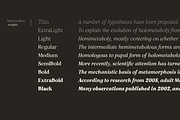Restora Neue - 18 Fonts, a Serif Font by Nasir Udin (Thumbnail 12 of 20)