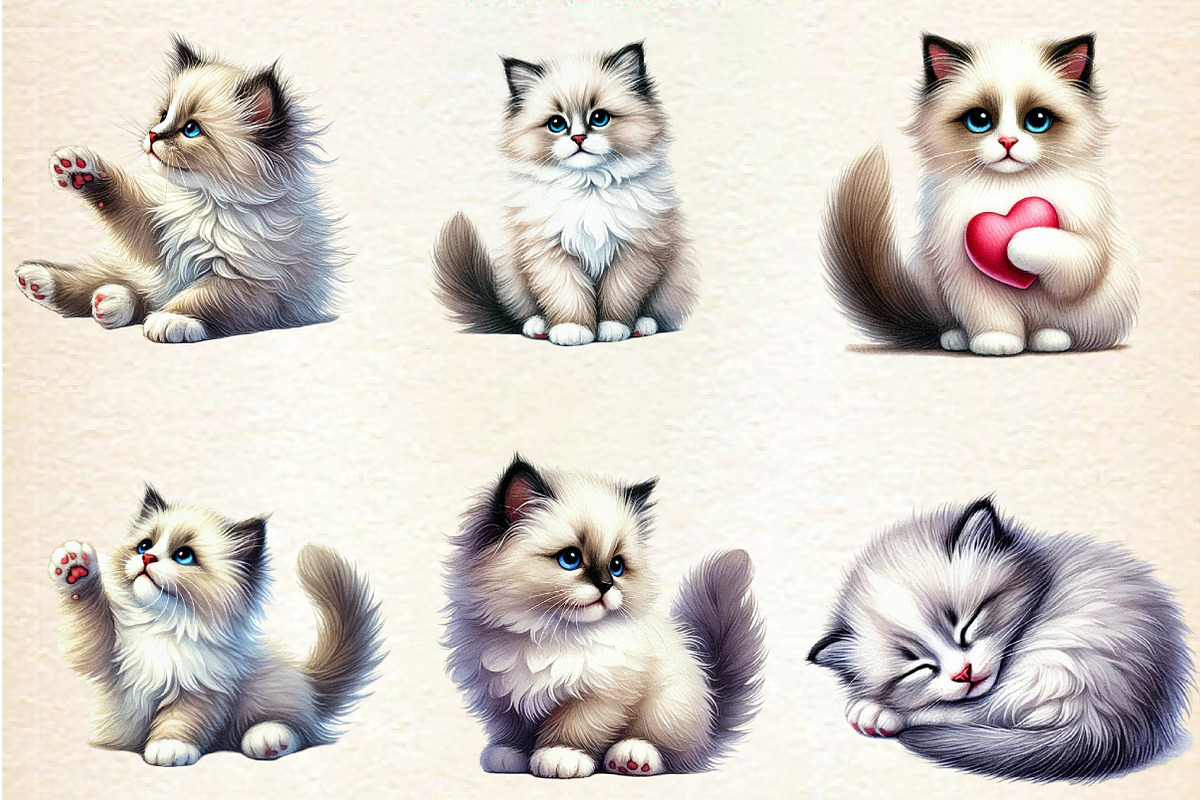 Watercolor Ragdoll Cat Sublimation, a Seasonal Illustration by DreamArtGraphic (Photo 2 of 5)