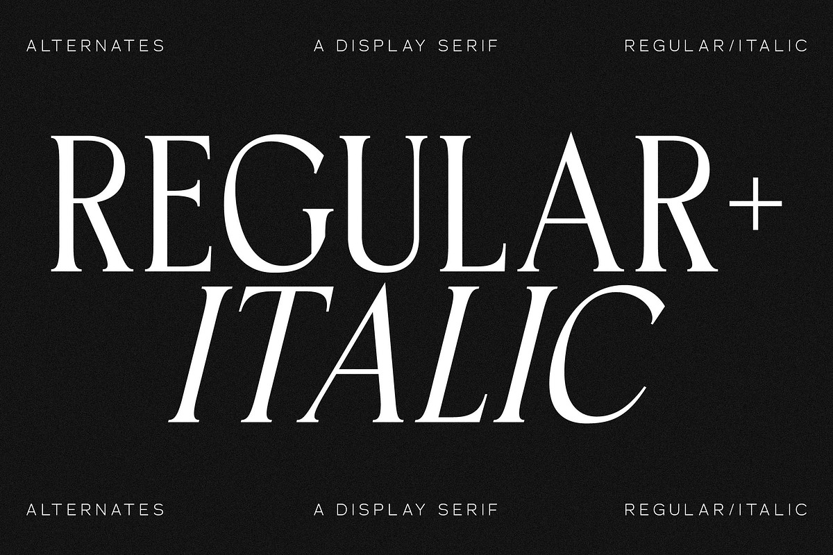 Horge A Display Serif Font, a Serif Font by Storytype Studio (Photo 5 of 16)