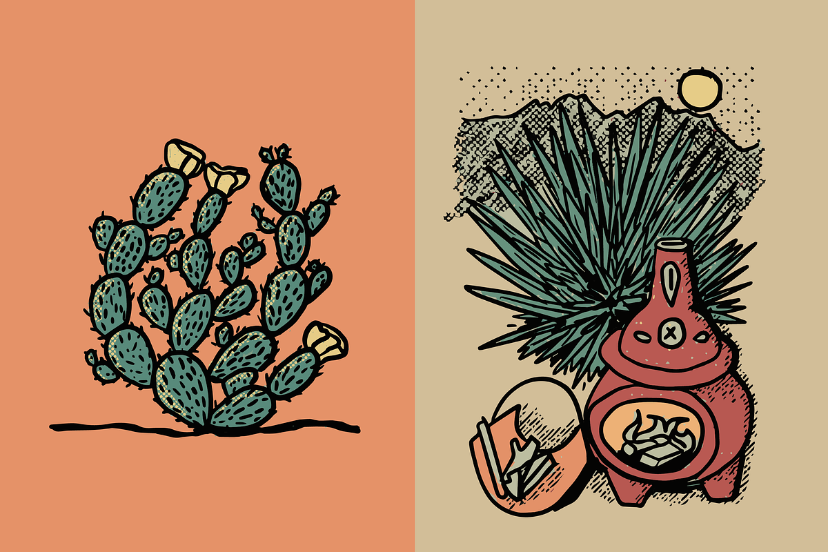 Hand-drawn Arizona Cactus Vector Set, an Object Illustration by charmellow (Photo 3 of 5)