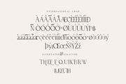 Belle Quest Stylish Serif, a Serif Font by KennedyStudio (Thumbnail 9 of 10)