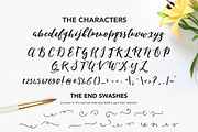 Pleasures Script + Extras, a Script Font by Nicky Laatz (Thumbnail 9 of 11)