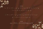 Delyra Script - Modern Signature, a Script Font by RHD Creative Studio (Thumbnail 12 of 12)