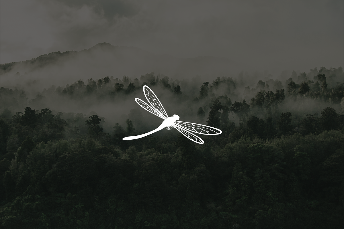 Minimalist Modern Dragonfly Logo, a Branding & Logo Template by Luxury Logos (Photo 2 of 4)