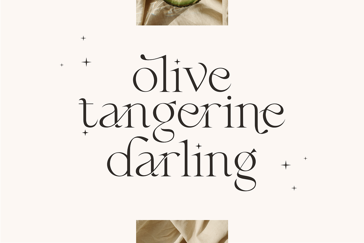 Fragile - Modern Serif, a Serif Font by Sans & Sons (Photo 7 of 10)