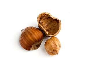 Cracked hazelnut, a Food & Drink Photo by BOOCYS